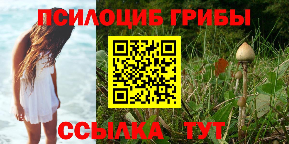 Псилоцибиновые грибы ЛСД  Вход с VPN  Темрюк  Галлюциногенные грибы Cubensis 